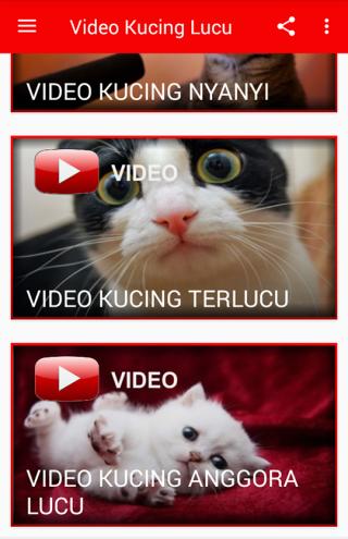 Video Kucing Lucu Ngakak Abis Für Android Apk Herunterladen