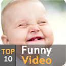 Top10 Funny Vidoes APK