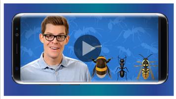 World of Ant-poster
