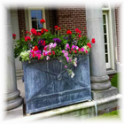 Art Window Boxes Planters 2018 icon