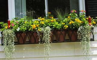 Art Window Boxes Planters 2018 ảnh chụp màn hình 1