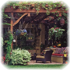 Design Backyard Ideas icon