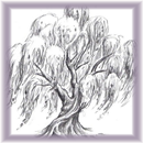 APK Beginners Learn To Draw Tree