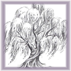Beginners Learn To Draw Tree أيقونة