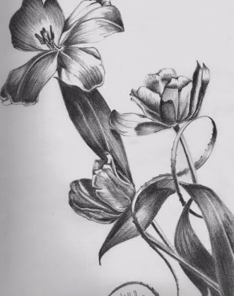 Descarga de APK de Lápiz Con Dibujo De Flores para Android de guias de flores Descarga de APK de Lápiz Con Dibujo De Flores para Android
