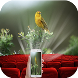 Real Video Projector HD Prank icono