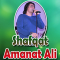 Shafqat Amanat Ali
