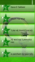 Pakistani Milli Naghmay screenshot 2
