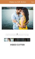 Video to GIF Artist screenshot 3