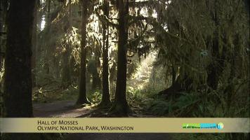 NatureVision TV screenshot 3