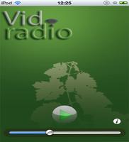 Vidradio screenshot 2