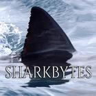 Shark Bytes 아이콘