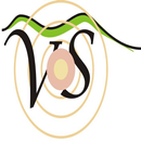 APK Vientos Stereo