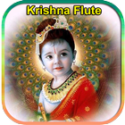 krishna flute : krishna bhajans HD icône