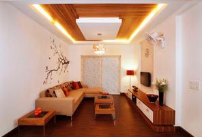 Ceiling Ideas স্ক্রিনশট 2