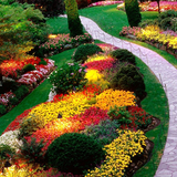 Gardens Design ícone