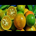 Cranberryfruit phap APK
