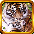 Tiger Love live wallpaper APK