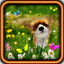 Fox Small Cute live wallpaper APK