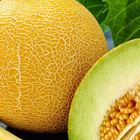 Cucumis Melo Wallpapers biểu tượng