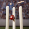 Cricket Game Tones APK
