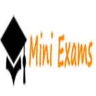 MINI EXAMS-icoon