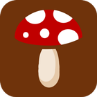 버섯 인식 icône