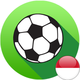 Liga Indonesia icône
