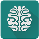 اختبار الذاكرة APK