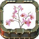 Growing Orchids APK