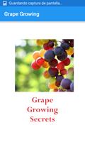 Grape Growing poster