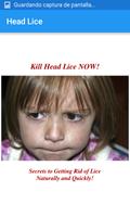 Kill Head Lice capture d'écran 1