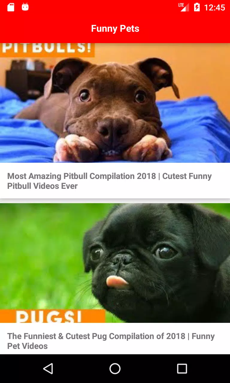 Funny Pets APK for Android Download Funny Pets APK for Android Download