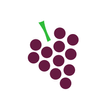 VinoWine - Wine Tasting Guide