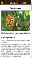 tanaman herbal yang ada disekitar kita capture d'écran 1