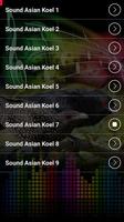 برنامه‌نما Asian Koel Sounds عکس از صفحه