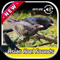 Asian Koel Sounds capture d'écran 3