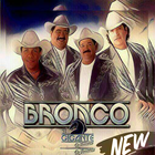 Grupo Bronco أيقونة