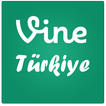 Türk Vine Fenomenleri