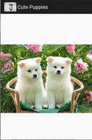 cute puppies poster