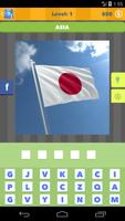 Flags Icomania syot layar 1