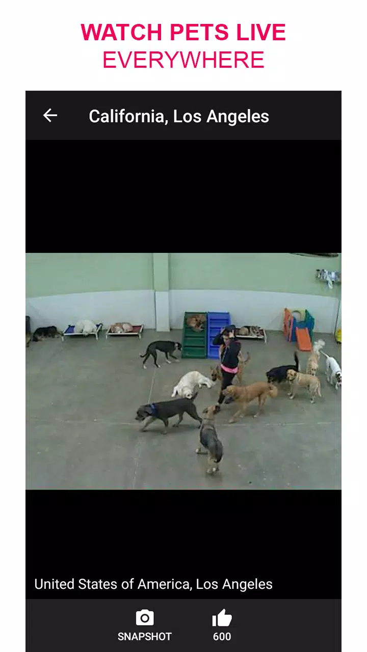 live camera viewer world webcam
