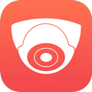 Случайные вебкамеры: Камеры видеонаблюдения мира APK