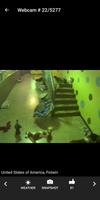 Webcams Aleatorias: World Live Streaming Cámaras captura de pantalla 1