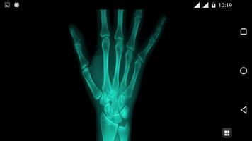 Body Scanner Simulation screenshot 3