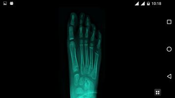 Body Scanner Simulation screenshot 2