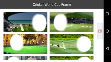 Cricket World Cup Frame poster