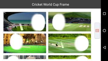 Cricket World Cup Frame 海报