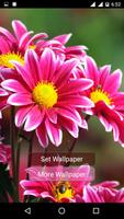 Flowers Live wallpaper gönderen