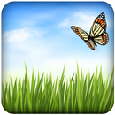 Grass Background Wallpaper APK